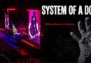 system of a down stockholm